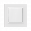 Controler de perete fără fir - <br>2 butoane RFWB-20/G photo